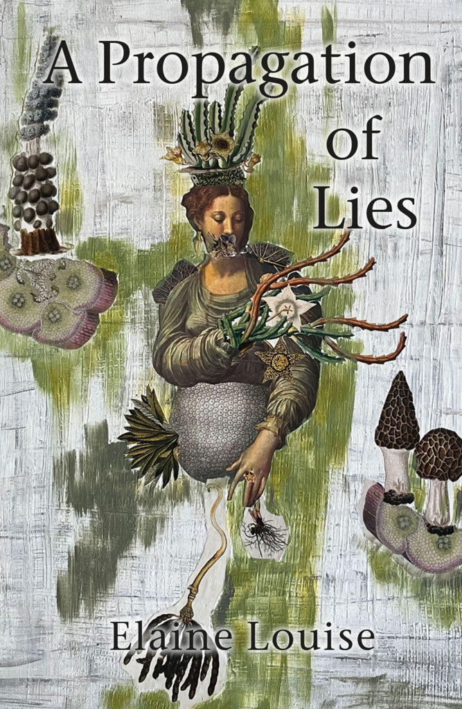 A Propagation of Lies